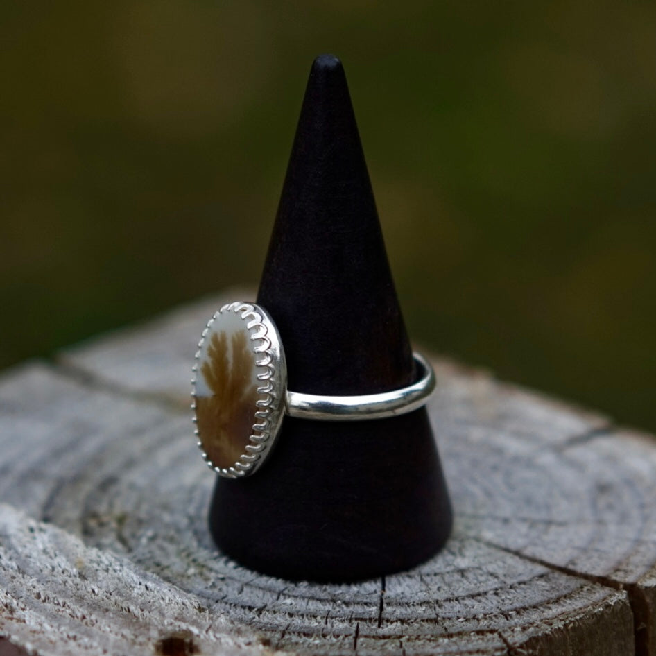 Pine Ring - Size 9